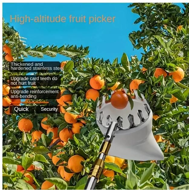 Fruit Picker With Storage Bag
