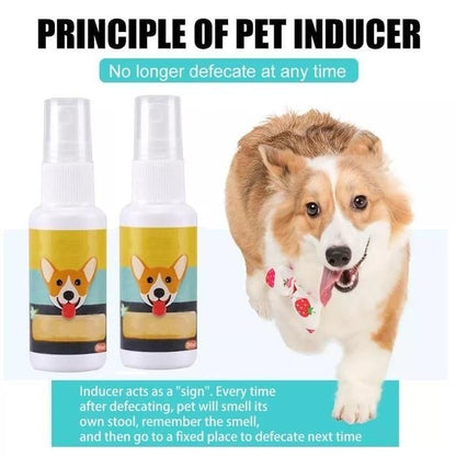 Natural Potty Training Spray for Dog & Cat (Buy 1 Get 1 Free)