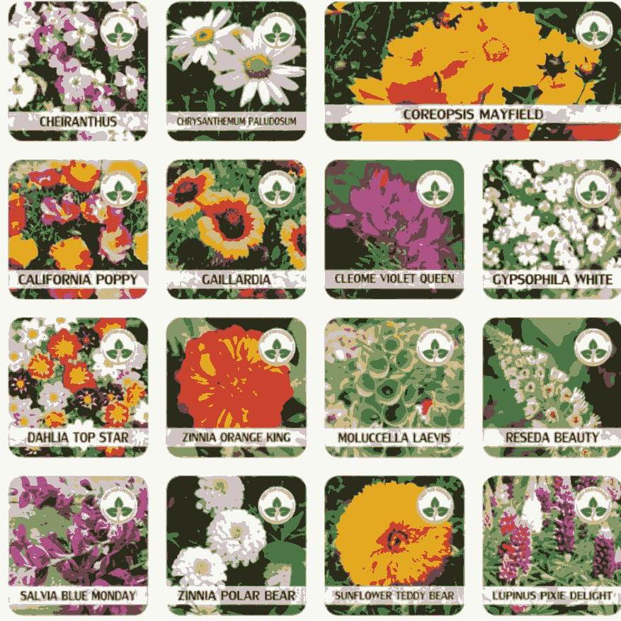 Varieties of Flower Seeds - Plant Supplement Free