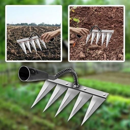 Multi-Tooth Hand Weeding Tool