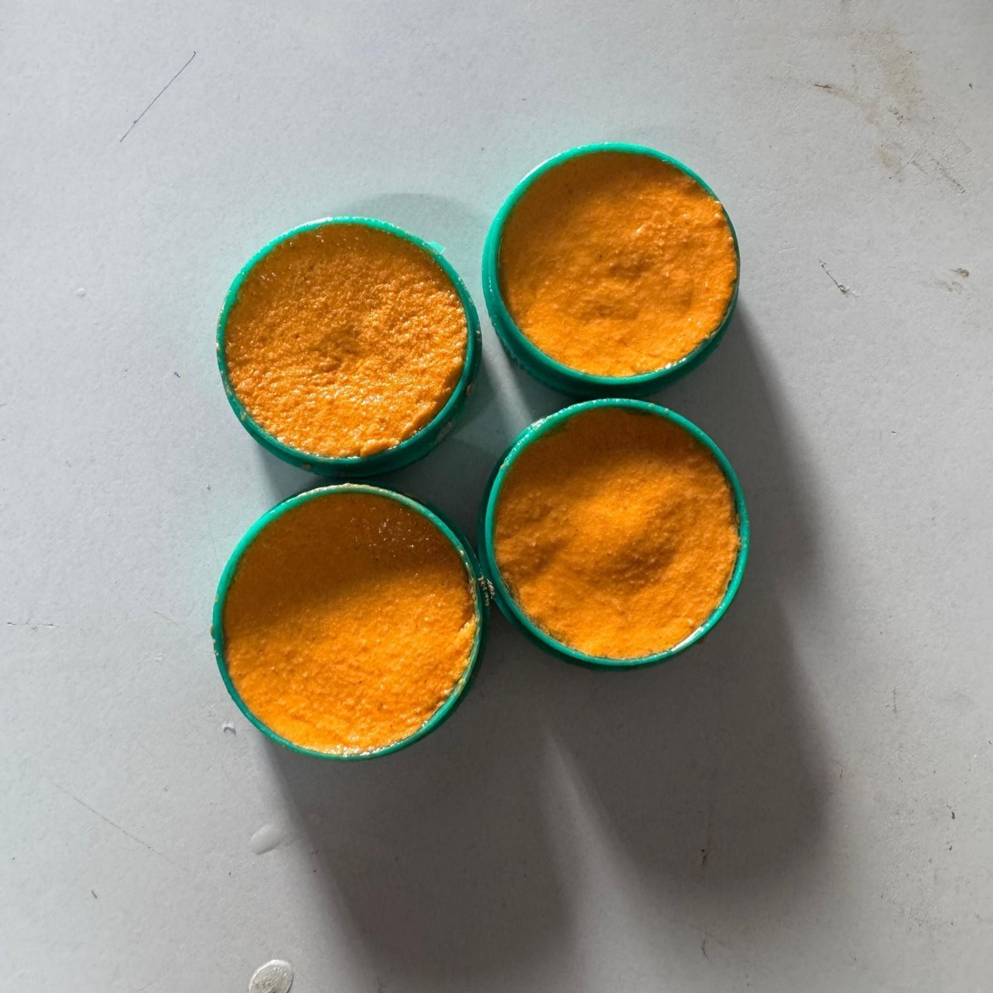 Cockroach Killer Powder Gel (Pack of 24pc)