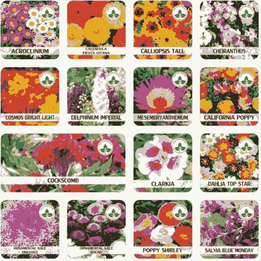 Varieties of Flower Seeds - Plant Supplement Free