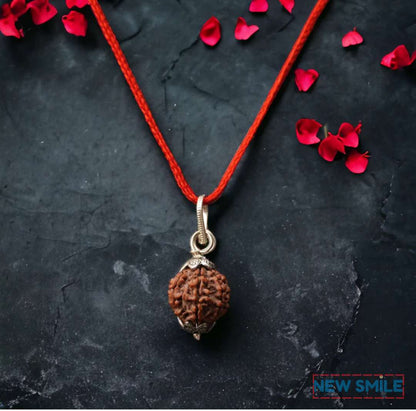 7 Mukhi Rudraksha With Pendant
