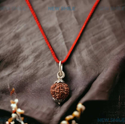 7 Mukhi Rudraksha With Pendant
