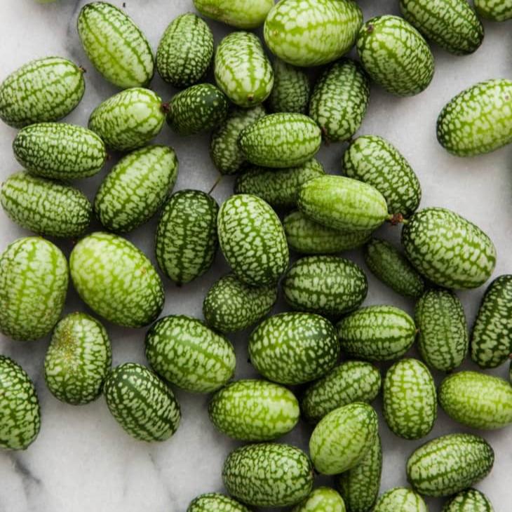 Mini  Watermelon Seeds