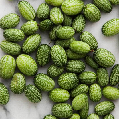 Mini  Watermelon Seeds